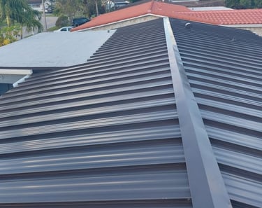 roof cleaning oakland park fl 