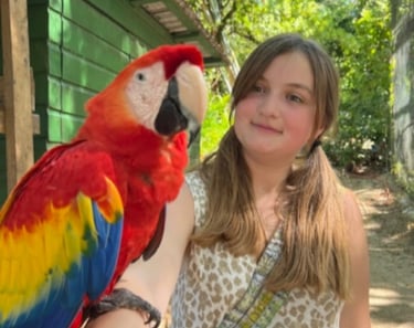 guacamayos en roatan