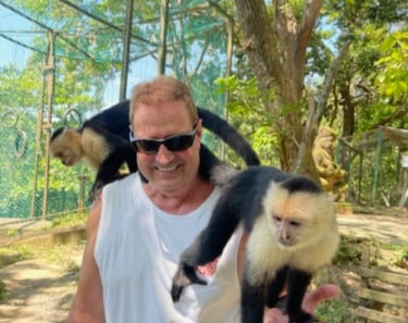 monos cara blanca