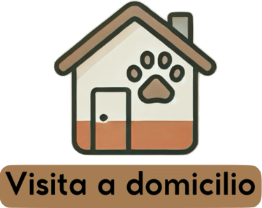 Consulta veterinaria a domicilio en Alicante para perros, gatos y animales exóticos