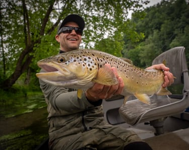 South Holston River May Fishing Report: 24" Browns!