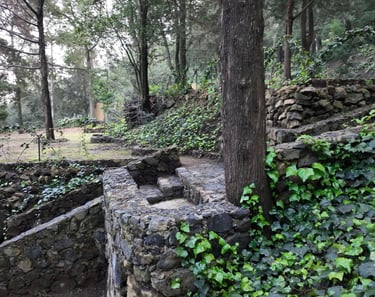 Terraza para eventos woodscape