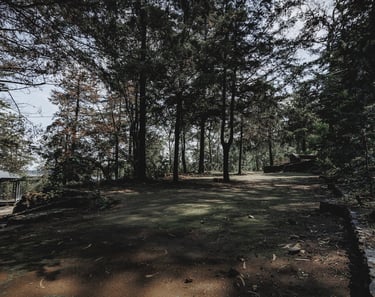Terraza para eventos woodscape