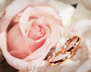 Ricco Gnocchi Especialista em Mini Weddings e Elopements