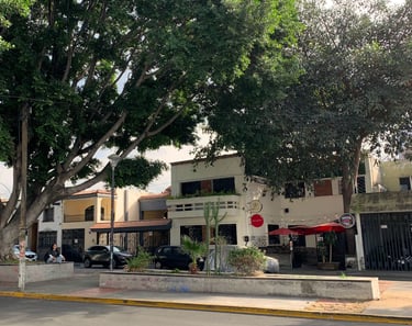Street with a house and a tree