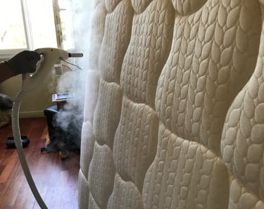 punaises de lit sur matelas