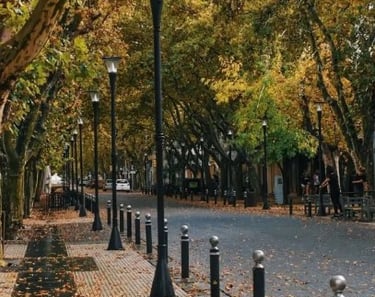 Otoño en San Rafael Mendoza