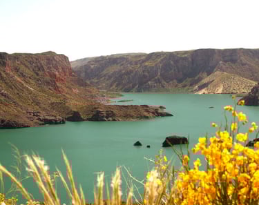 Primavera en San Rafael Mendoza