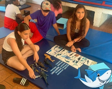 Un groupe d'adolescent avec la boite à requins