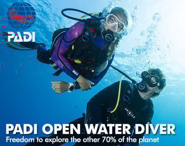 Open Water Diver 
