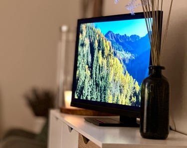 neuroptimal suaugusiems 1