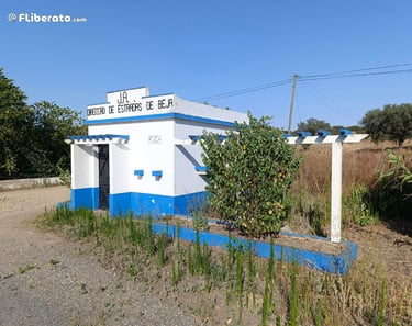 JAE Junta autónoma de estrada Parque Vicente Anes N2