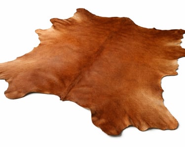 Natural raw animal hides and skins.