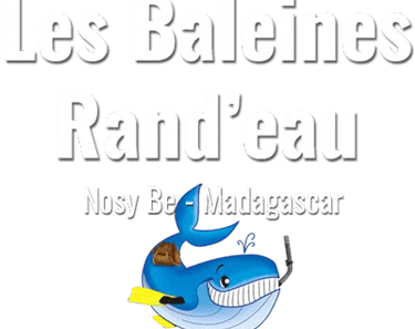 LES BALEINES RAND'EAU