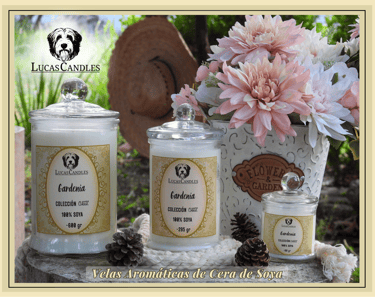 Catálogo Lucas Candles