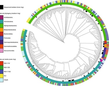 analisis metagenoma bioinformatica mexico