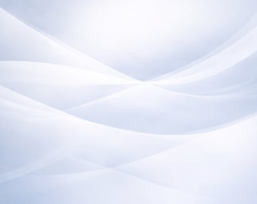 Susirinkimų sistemos peržiūra ir sprendimų priėmimo aiškumas