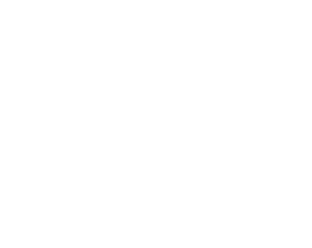logo aloha surf