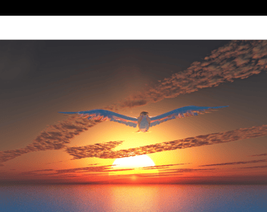 Pigeon volant au coucher du soleil, coucher du soleil, Saint-Esprit