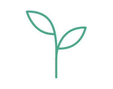 Una planta amb eines de jardí que simbolitza l’aprenentatge en contacte amb la natura i l’hort