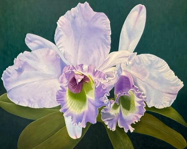 Translucent monumental lavender orchid painted by Christine Knize