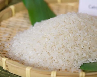ir36 raw rice non basmati export