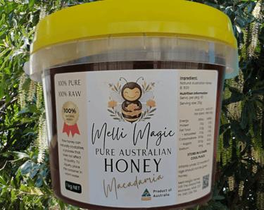 Melli Magic 1kg tub of pure raw Australian Macadamia honey set against macadamia trees background.