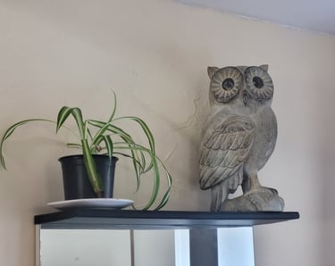 accéder au formulaire d'inscription et estimer le poids du hibou