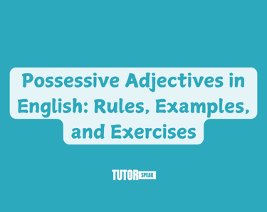 Possessive Adjectives in English: Rules, Examples, and Exercises