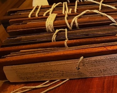 Nadi prediction online