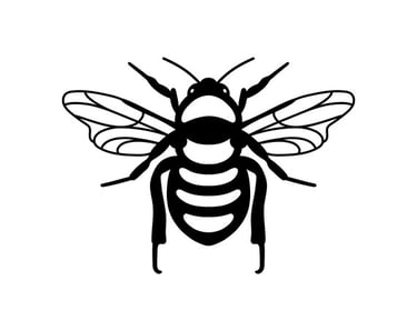 Pest Control Bee & Wasp Removal in Menifee Footprint Pest Management