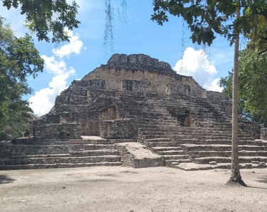 Ancient stone Chacchoben Mayan ruins pyramid surrounded by tropical trees in Mexico.