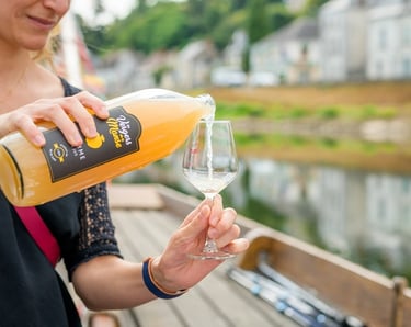 Jus de fruits locaux