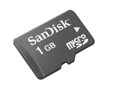 SanDisk 1GB microSD Card