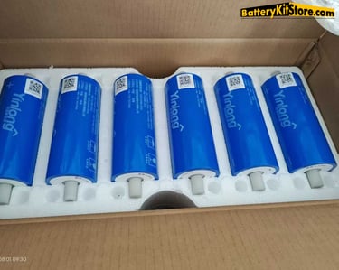 Yinlong 40Ah LTO battery cell in a carton box