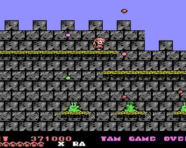 Rodland NES Scrolling and Platforming