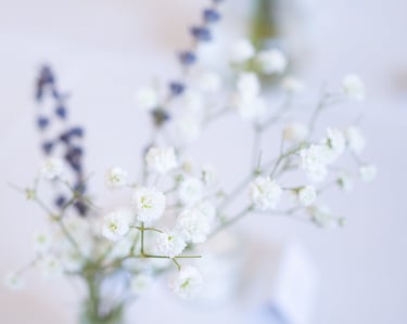 flowers in a vase on a table