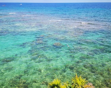 arrecife en Roatan
