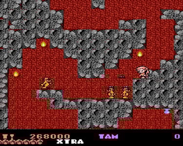 Rodland Famicom Elephant Caverns