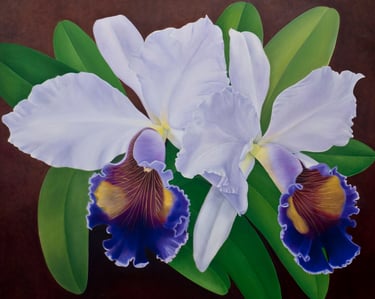 Vibrant Cattleya orchid, museum-scale botanical art by Christine Knize.