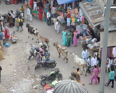 Looking down on the main square on the Bazar Road, New Delhi, India