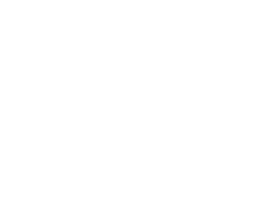 logo vasa