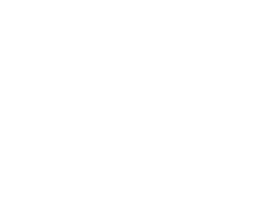 Shopping Cart Icon