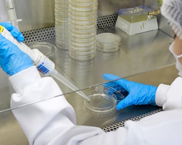 "Profissional manipulando amostras de laboratório em bancada equipada."