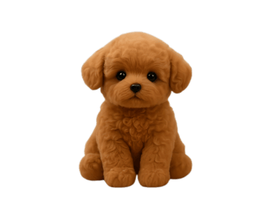 a brown dog sitting on a gray background