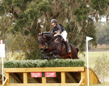 Bay horse jumping a brush top cross country