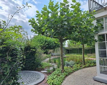 Villatuin met natuurlijke beplanting