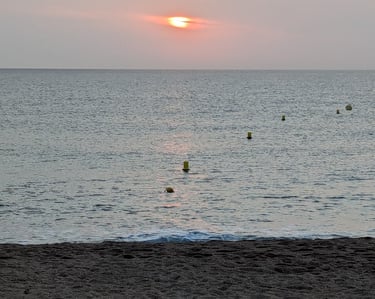 Terapia online asequible España