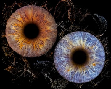 Photo iris Bordeaux tarifs studio professionnel