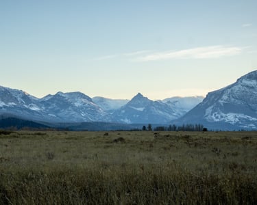 a field with mountains in the background, Glacier National Park